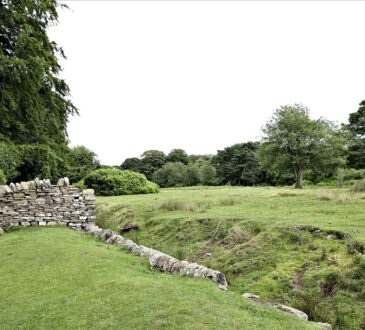 Zero Landscape Ideas