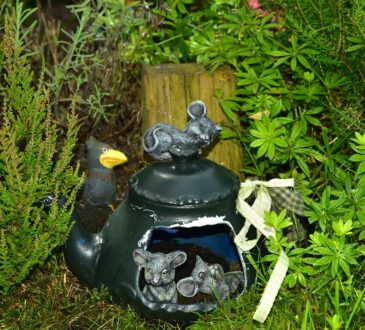 Zero Maintenance Landscaping IDEAS